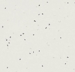 Линолеум Forbo Sphera Evolution 50432 silver white фото 1 | FLOORDEALER